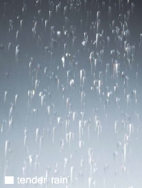 Mettel Fittings - Tender Rain